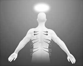 Stryk langs nervebanene som forgrener seg ut fra ryggraden rundt til kroppens forside.